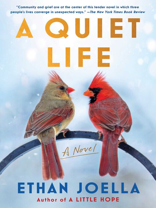 Title details for A Quiet Life by Ethan Joella - Wait list